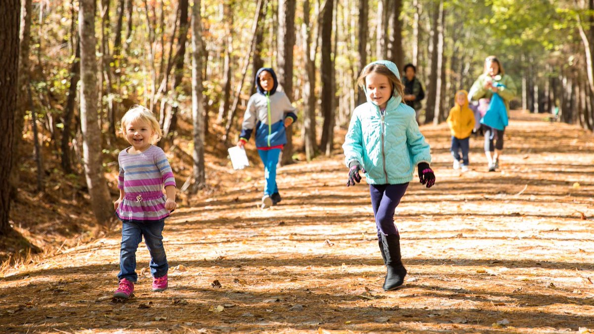 Wow! We love that our parks & trails can provide such inspiration 💙💭🌳

Whether you’re hiking, biking, running or riding, the #AmericanTobaccoTrail in #WakeCounty is a great place to start your day.

#YearOfTheTrail #WakeTrails #TrailTalkTuesday #TrailTalk #ATT20 @WakeGovParks