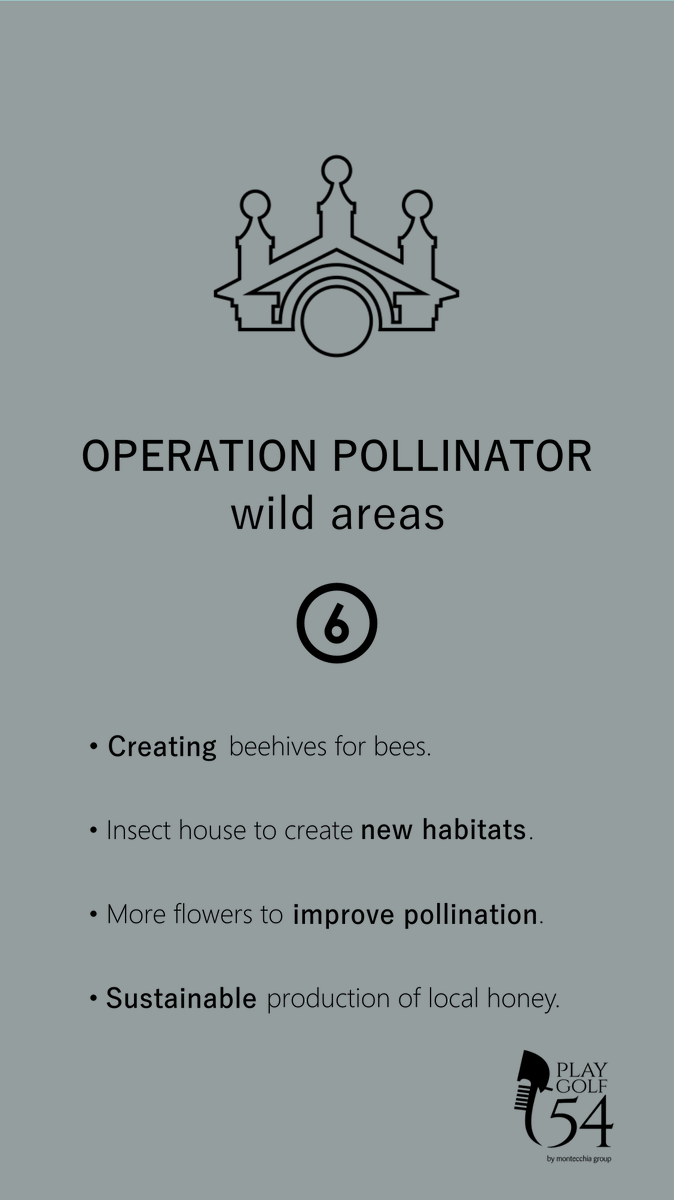 montecchiagroup's tweet photo. Know more about our #greencourse. We care about the #sustainability of the #ecosystem. 🦋 https://t.co/2OcGX1FJEc