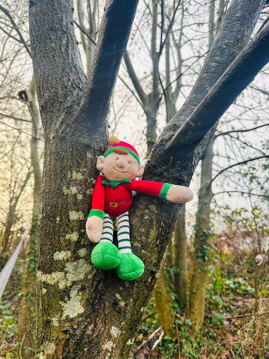 What a wet muddy day, but we made it as festive as we could, carols playing, fairy lights twinkling, elves peeping out trees, festive decorations and a big fire to warm the mince pies and mulled punch for the staff who braved the mud to join in the festive forest lunch🎅🏽🎄🔥 🥧🎄