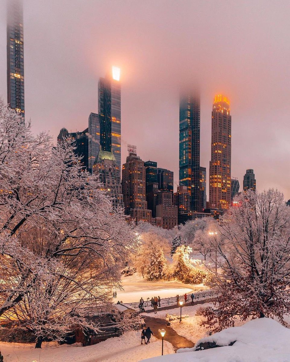Winter in New York ❄️🗽
