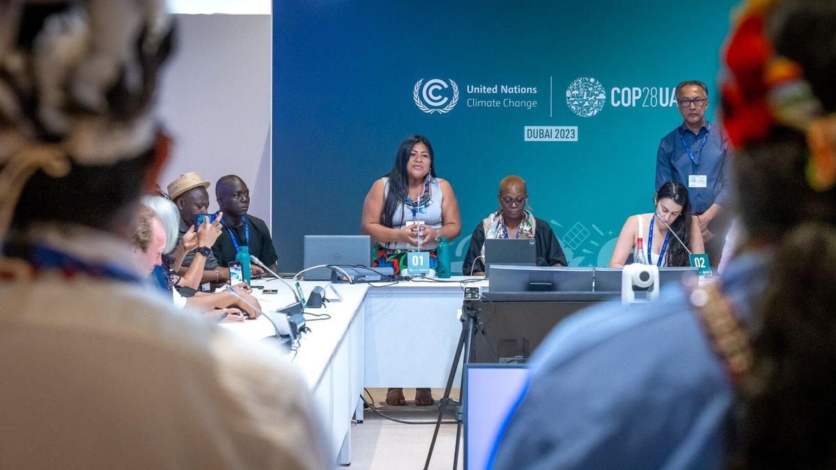 To protect our most valuable rainforests, we need radical new partnerships with Indigenous leaders at the heart. Momentum is building for a new practice to protect nature and people. You could feel the fantastic energy in the room at the 3 Basins Meeting during #COP28.
