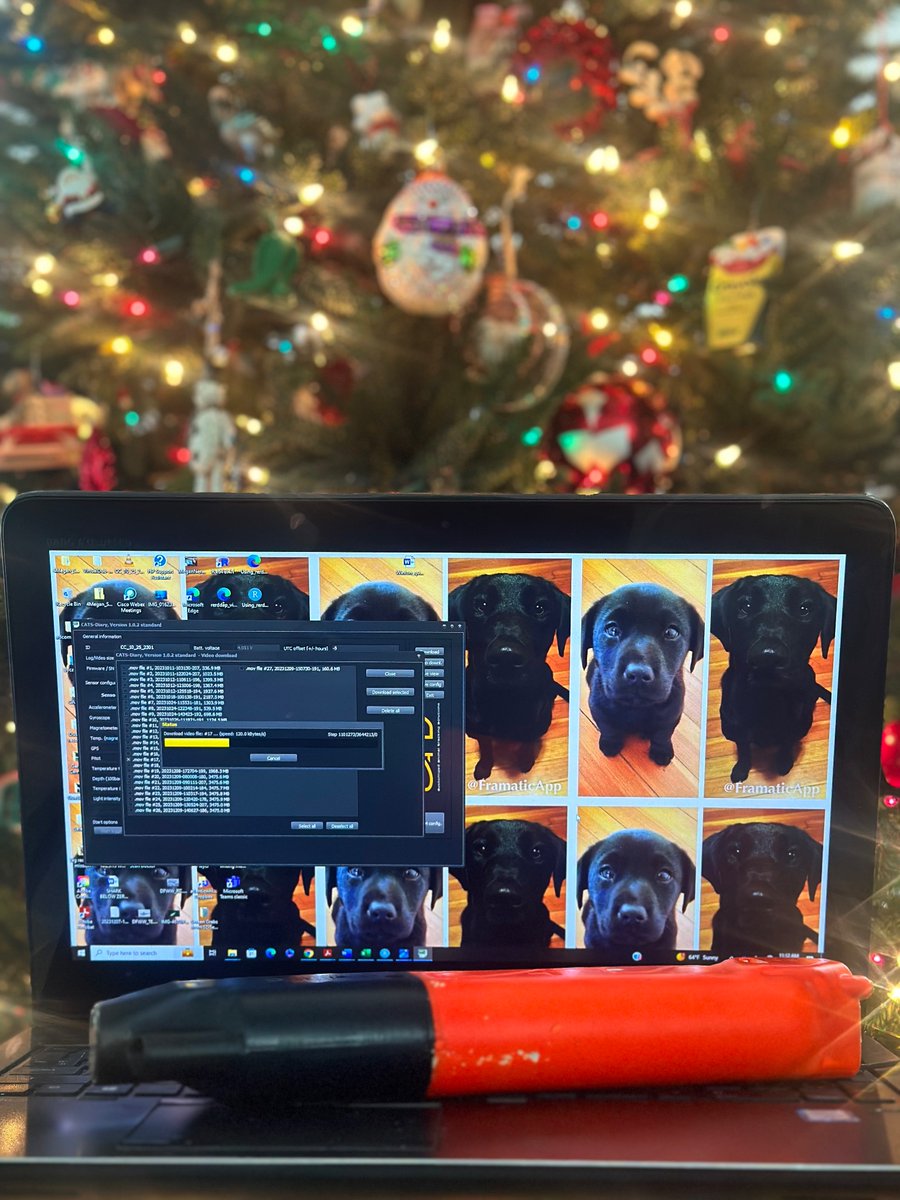 Megan Winton (@megalodonwinton) on Twitter photo Feeling like a kid on Christmas Eve as I wait for the first camera tag deployed on a white shark off South Carolina to download.
Thanks to <a href="/ChipHHI/">Chip Michalove</a> for making it happen! Feeling like a kid on Christmas Eve as I wait for the first camera tag deployed on a white shark off South Carolina to download.
Thanks to <a href="/ChipHHI/">Chip Michalove</a> for making it happen!