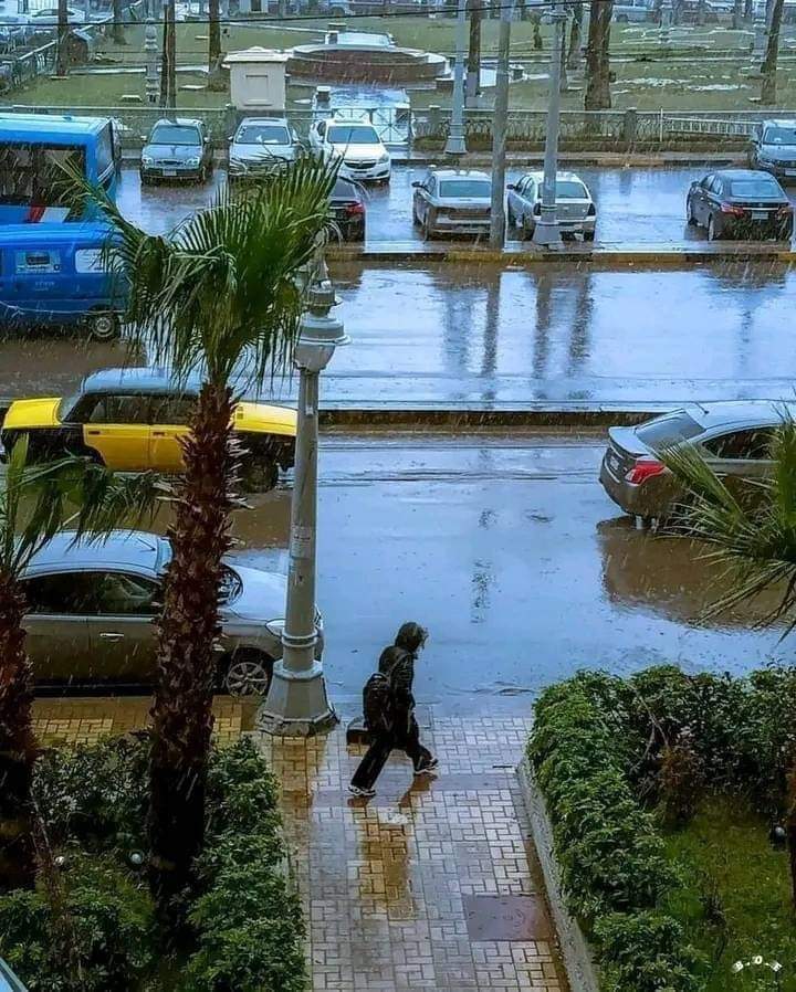 احلي جو في الدنيا 👌🫀 #يا_اسكندريه