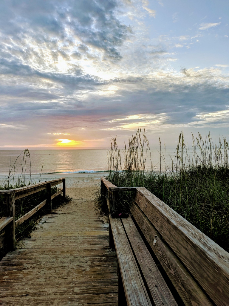 YellowHybiscus's tweet image. We love mornings in St. Augustine!

#staugustinebeach #staug #staugustine #staugairbnb #visitflorida #visitstaug #visitstaugustine #saintaugustine #loveflorida #ancientcityhideaways #yellowhybiscushouse