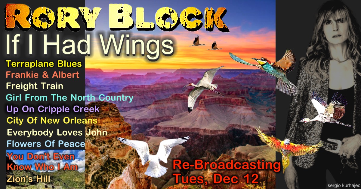 Re-Broadcasting #204 - If I Had Wings Tuesday, Dec 12, 7:30pm EST Ticket Links -> roryblock.ticketleap.com/re-broadcastin…