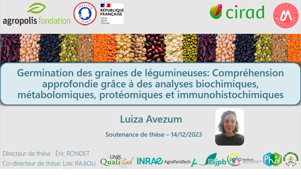 IJPB (@ijpb_fr) on Twitter photo #IJPB & #QualiSud PhD defense:
Luiza Avezum co-supervised by <a href="/Loic_Rajjou/">Loïc Rajjou</a> <a href="/ijpb_fr/">IJPB</a> PHYGERM team: bit.ly/3EaR4kc & Eric Rondet <a href="/umontpellier/">Université de Montpellier</a> <a href="/qualisud/">Sud Microbiology</a>
📅When? This Thursday the 14th of December
👉For more: bit.ly/3tdbism #IJPB & #QualiSud PhD defense:
Luiza Avezum co-supervised by <a href="/Loic_Rajjou/">Loïc Rajjou</a> <a href="/ijpb_fr/">IJPB</a> PHYGERM team: bit.ly/3EaR4kc & Eric Rondet <a href="/umontpellier/">Université de Montpellier</a> <a href="/qualisud/">Sud Microbiology</a>
📅When? This Thursday the 14th of December
👉For more: bit.ly/3tdbism