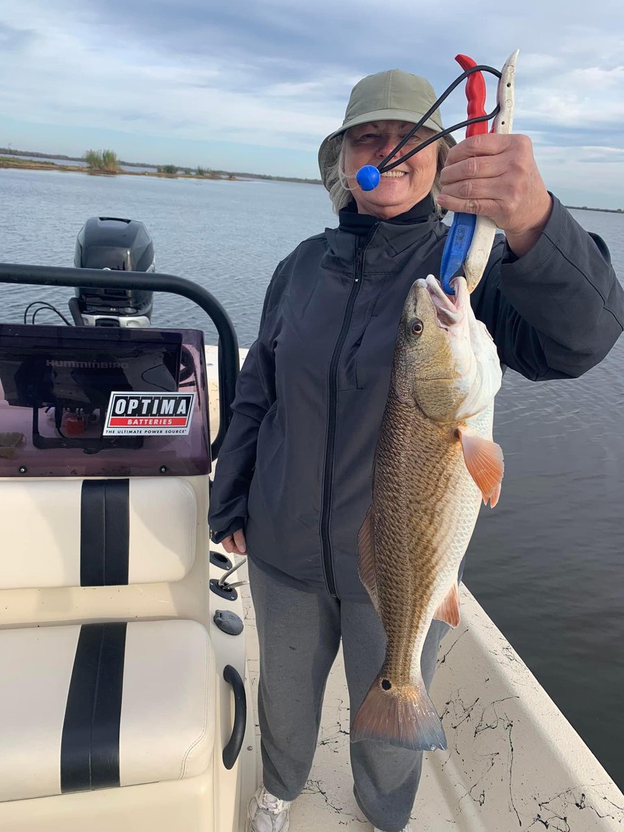 dufrenesguide's tweet photo. Come fish Louisiana with #DufrenesGuideService ! 
#LouisianaFishing #OnlyLouisiana #stbernardparish #Delacroix #redfish #louisianatourism
#NOLA #NewOrleans #GreaterNewOrleans #fishing @OptimaBatteries #optimabatteries https://t.co/nEiS7aKReG