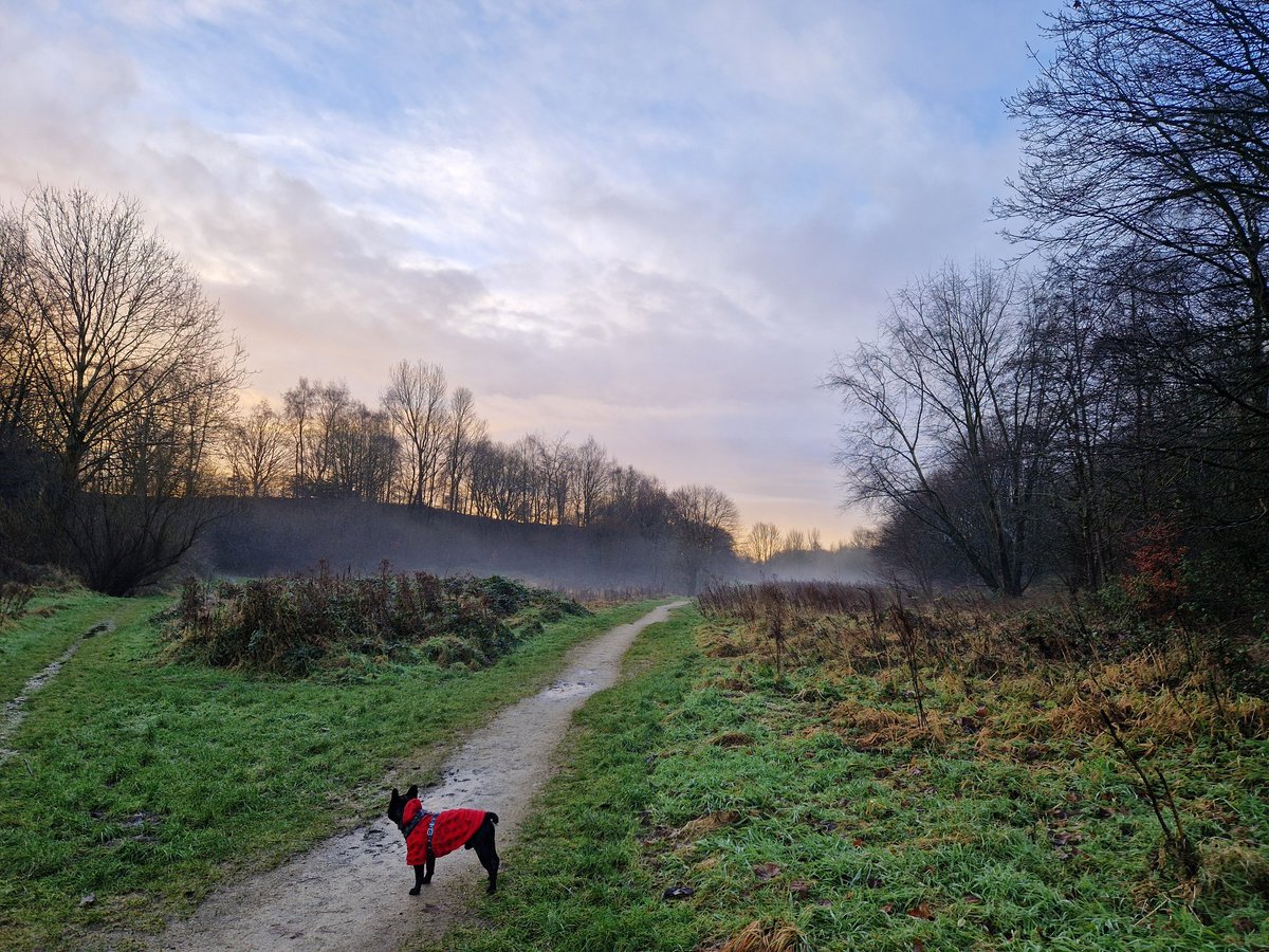 It was a beautiful morning walk today. The mist was rising up from the ground!?!