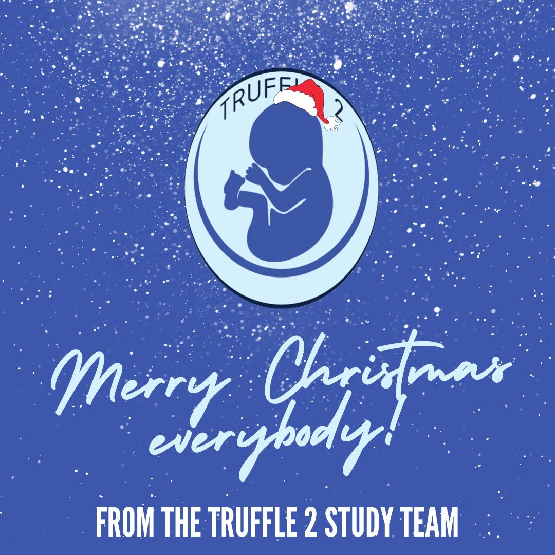 TRUFFLE 2 Study (@TruffleStudy) on Twitter photo 2023-12-25 07:42:00