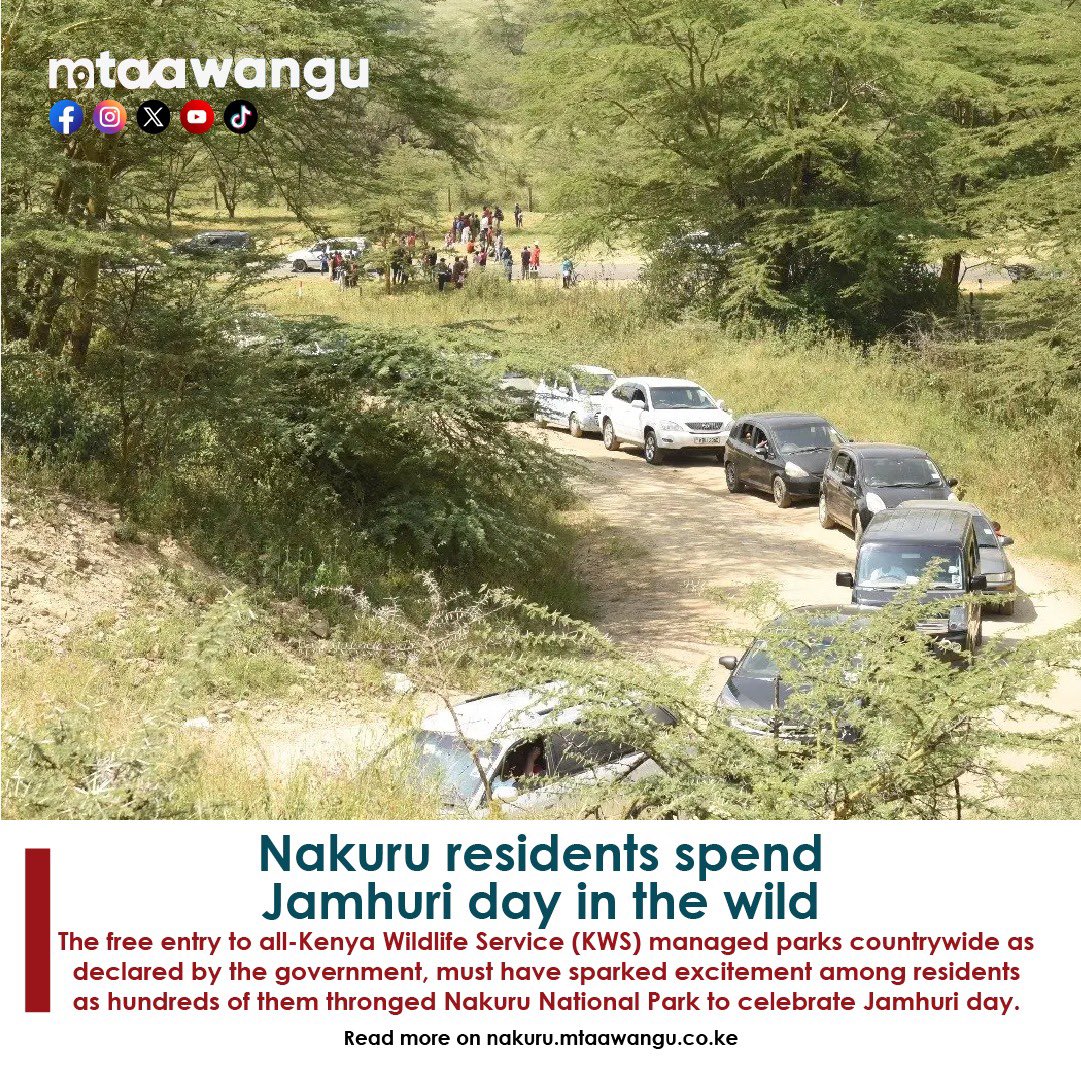 Nakuru residents spend Jamhuri day in the wild.
nakuru.mtaawangu.co.ke/categories/wha…

#NakuruMtaaWangu #JamhuriDay #JamhuriDay2023 #Nakuru