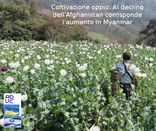 ADUC1's tweet photo. Coltivazione #oppio. Al declino dell'#Afghanistan corrisponde l'aumento in #Myanmar
https://t.co/jblPJDoO57 https://t.co/zBznPy2MKC