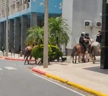 CON LA MONTADA GOLPEANDO A JUBILADAS/OS DE LA TERCERA EDAD

ESTO ES CRIMINAL.

ESTO ES CARTES Y SU MASCOTA SANTIAGO PEÑA.
