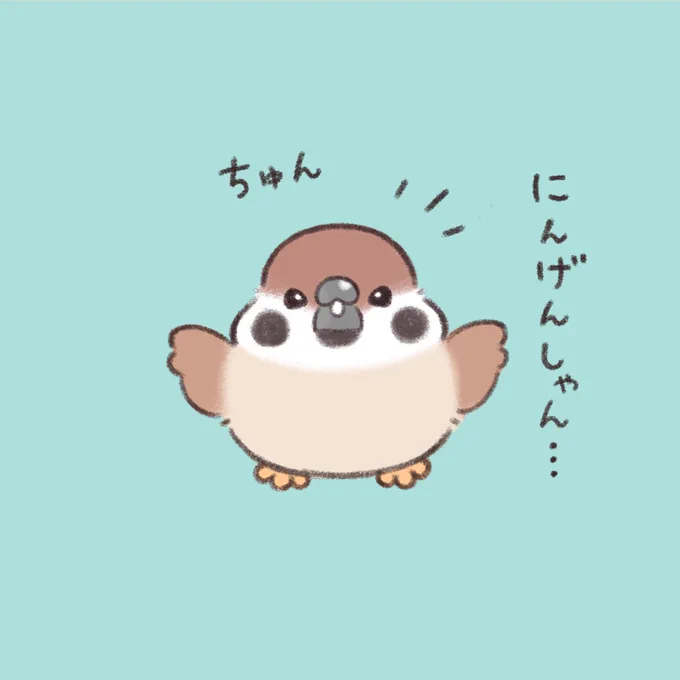 にんげんしゃん。  #スズメ