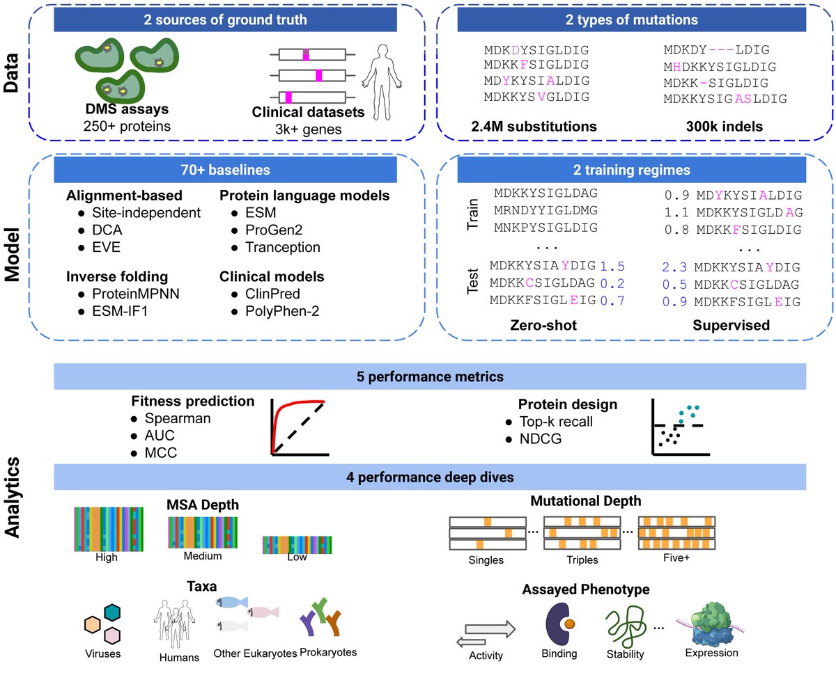 🚨The new version of ProteinGym is out!🚨
biorxiv.org/content/10.110…
#NeurIPS2023 #GenBio #Proteins #Benchmark #MAVE