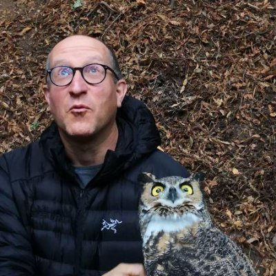 $OWL | Starknet tweet media