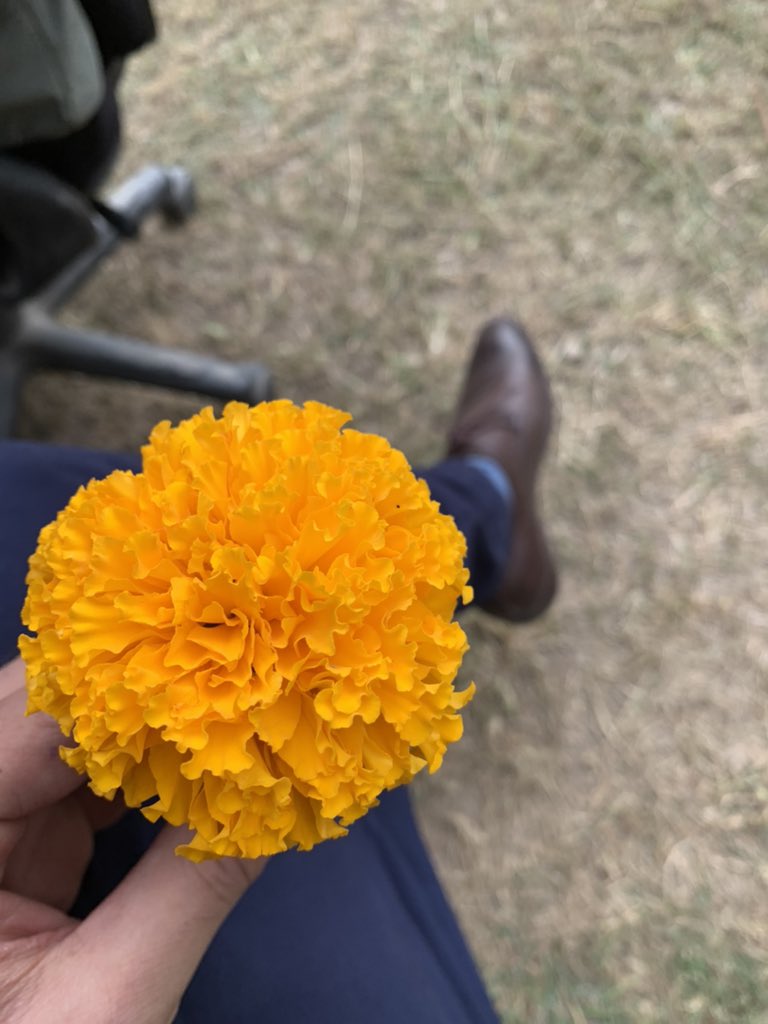 share a visual of you holding something ~