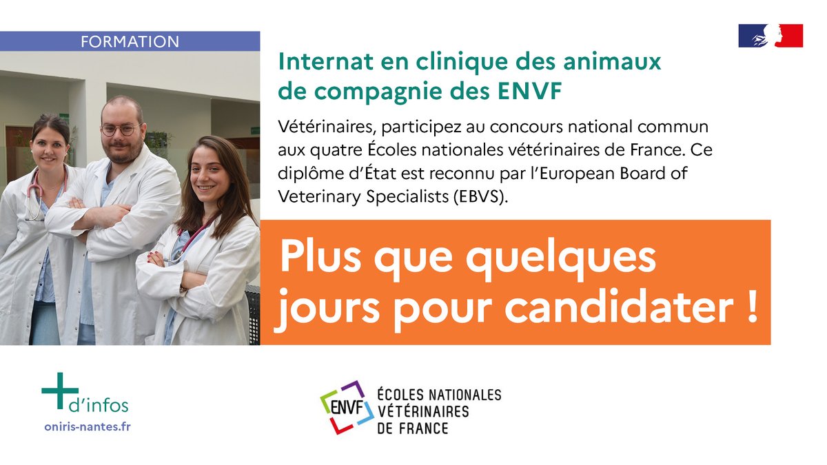 CONCOURS - Plus que quelques jours pour envoyer votre candidature pour intégrer en septembre 2024 l'internat en clinique des animaux de compagnie des ENVF. 👉 L'EnvA propose 26 places au sein de son hôpital des animaux de compagnie. ▶️ En savoir + : ow.ly/eFNr50QhNA8