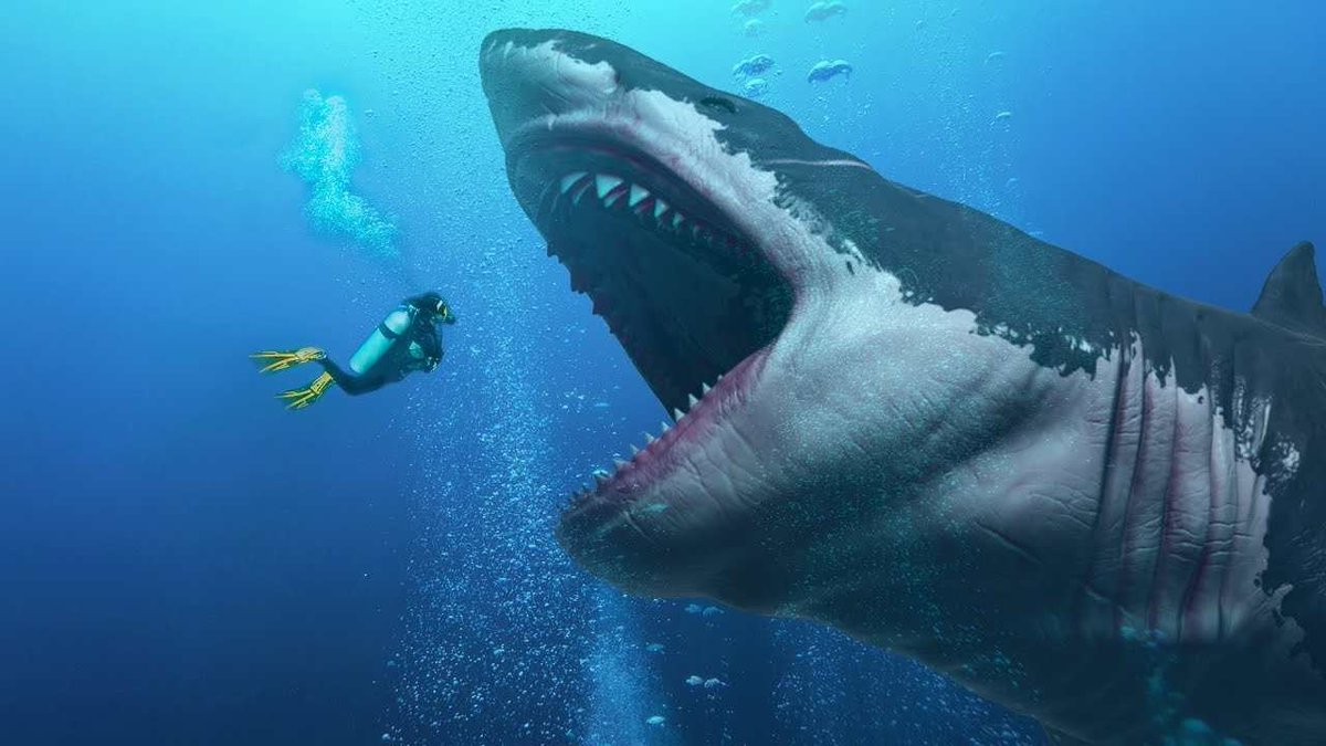 happygram2's tweet photo. Megalodon, meaning “big tooth” , is an extinct species of shark that lived during the Early Miocene to the end of the Pliocene period, some 3.6 million years ago.  The beast is closely related to the great white shark and was the top predator of the sea during the Cenozoic era. https://t.co/ggBIHuc7kw