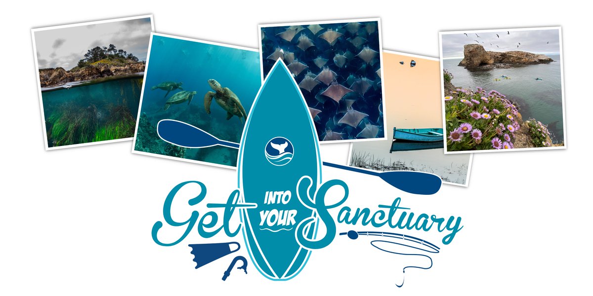 🥁 Drum roll, please! 🥁 We would like to introduce you to the winners of the 2023 #GetIntoYourSanctuary Photo Contest. sanctuaries.noaa.gov/earthisblue/ph…