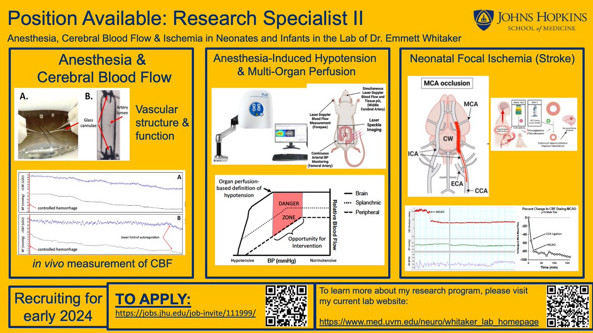 Emmett Whitaker, MD, FAAP🥼👨🔬🧠 (@ewhitakermd) on Twitter photo Excited to announce my first hire for the Whitaker Lab <a href="/HopkinsACCM/">Johns Hopkins ACCM</a>! I am seeking a Research Specialist to join my lab in early 2024. See below for details or visit
jobs.jhu.edu/job-invite/111…
Please. RT and DM with questions! #pedsanes #ScienceJobs #hiring #jobsearch #research Excited to announce my first hire for the Whitaker Lab <a href="/HopkinsACCM/">Johns Hopkins ACCM</a>! I am seeking a Research Specialist to join my lab in early 2024. See below for details or visit
jobs.jhu.edu/job-invite/111…
Please. RT and DM with questions! #pedsanes #ScienceJobs #hiring #jobsearch #research