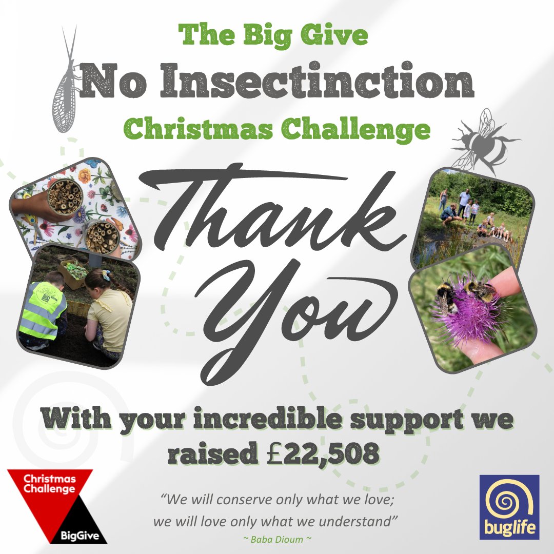 It's just over a week since our @BigGive #NoInsectinction #ChristmasChallenge campaign closed. 🥰 We cannot thank you enough for all the amazing support; donations, likes, shares. 🤝Together we raised a fantastic £22,508 Thank you! #CharityTuesday #LoveBugs #BugsAreAmazing