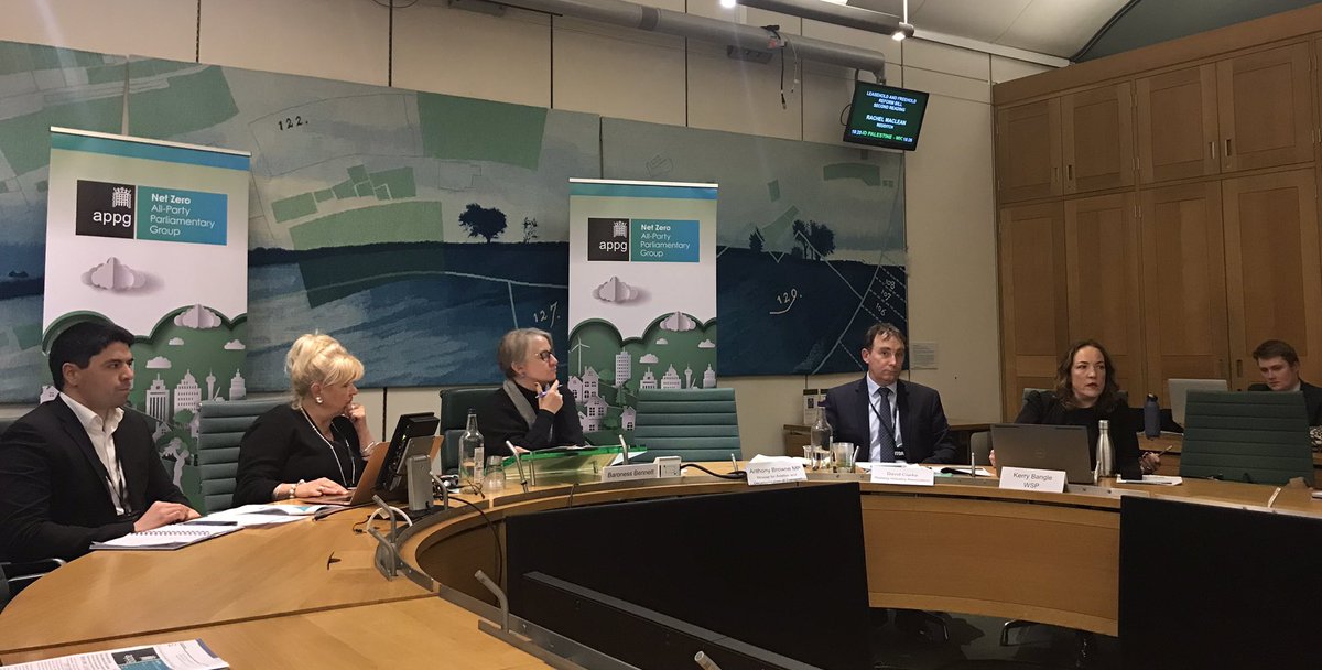 Excellent @NetZeroAPPG session yesterday on #TransportDecarbonisation. Technology alone is not the answer, we need social change that requires less travel overall, more #roadusercharging and new innovations like #sustainableaviationfuel. Great to hear from @WSP_UK’s Kerry Bangle.