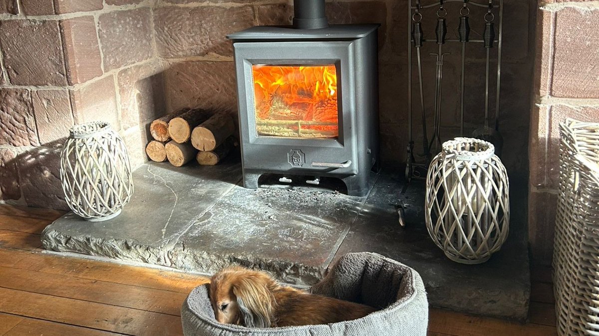 PinkSpag_Ally's tweet image. One of my favourite things about &apos;hot chocolate season&apos; and working from home is having a lovely husband who makes a cracking fire—and a cute dog who enjoys sitting in front of it 😁

#VirtualAssistantForCreatives #VirtualAssistantForCoaches #VirtualAssistantsForHire