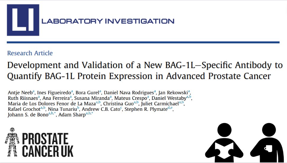 Development of isoform-specific antibodies is essential for studying diverse targets in #prostatecancer @AdamSharpMedOnc, Johann de Bono and team @ICR_london have risen to the task, reporting a nuclear isoform-specific antibody in @LIjournal ☕📘Read: bit.ly/3GyXJ9T