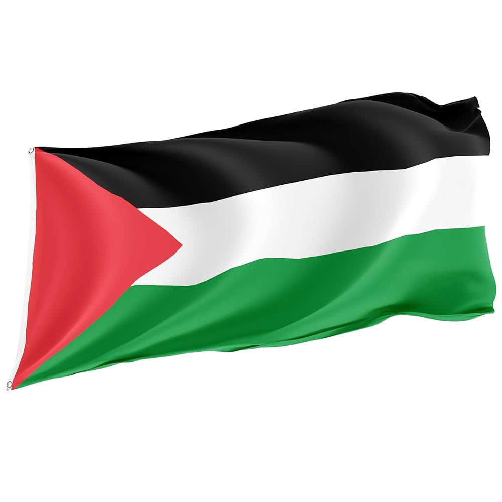 hameed_shahir's tweet image. From the River to the Sea, Palestine will be Free

#FreeP