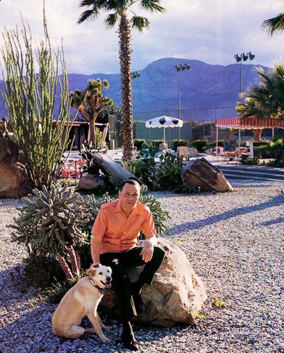 Nancy Sinatra tweet media
