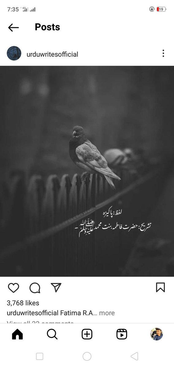 Beshak❤️