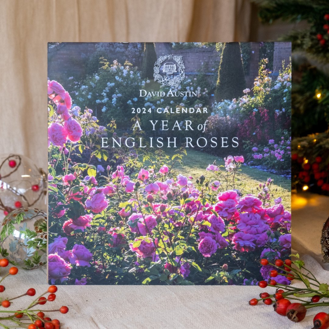 We’ve handpicked a section of gifts that are perfect for the person who’s running out of space in the garden. Why not treat them to a beautiful book or perhaps our breathtaking English Rose Calendar that radiates joy and beauty all year round. 📅