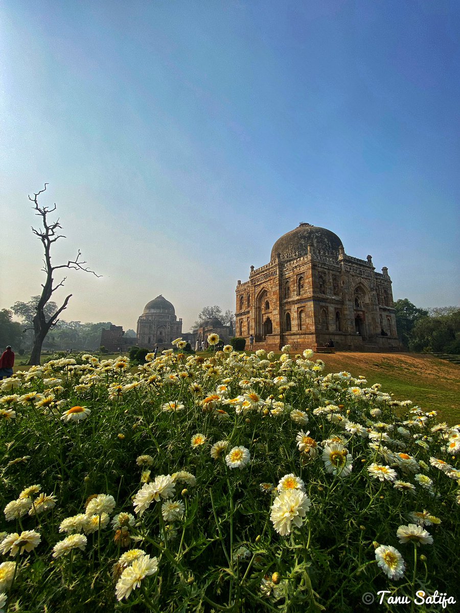 Lodhi Garden, Delhi 📸
#architectural #lodhigarden #lodhi #delhimonuments #monumentsofindia #spring #photographers_of_india #delhi #mughalarchitecture #bloom #winters #morningwalk #flowerphotography #flowers #trees #nature #NatureLover #NatureBeauty