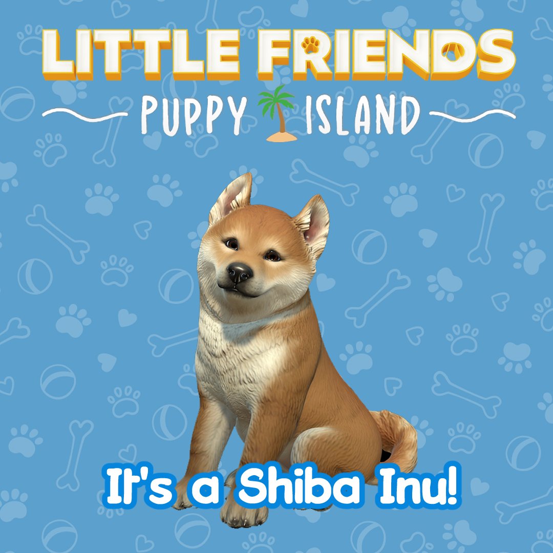 Little Friends: Puppy Island - Nintendo Switch