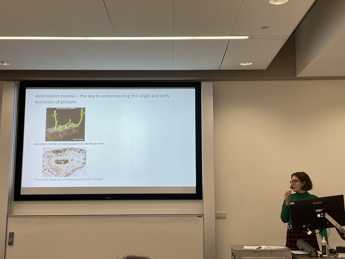 Well done @trnsitionalform and @Sannie_zishanfu for two great flash talks @gensocuknonseed #phloemevolution @InstMolPlantSci