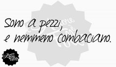 #alronzioselvaticodellemoschesporche #romanzo #adolescenzestreme #adolescenzeestreme #sessodrogaerocknroll #sesso #erotico #amore #morte #gioia #dolore #lettureconsigliate #lettureinteressanti #libri #books #battaglionesusa