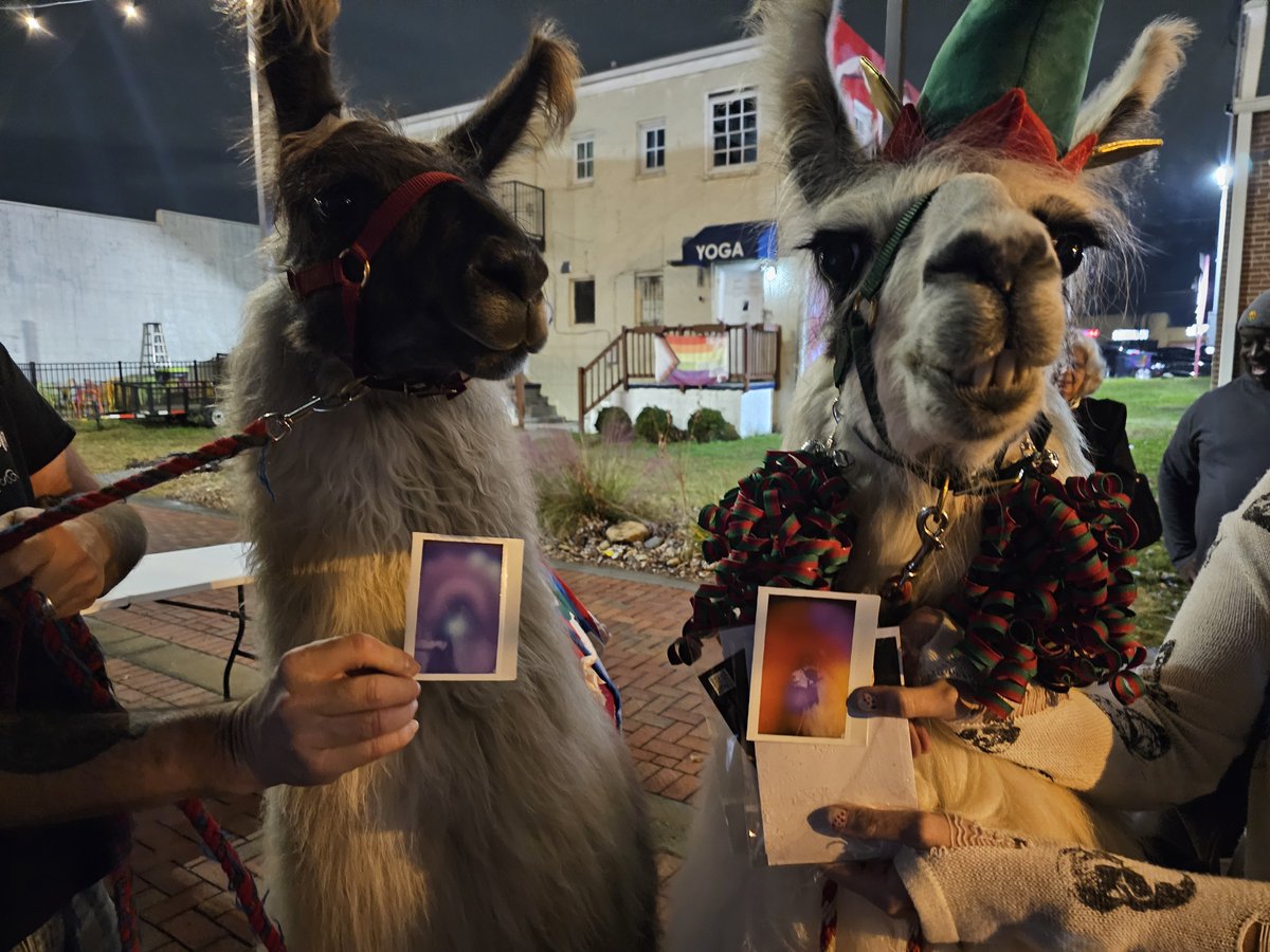 Vibe check passed, llamitas! If the cheesy grin on the right didn't clue you in, then the auras prove these llamas are nothing alike!
Llama 1: "It was amazing. The highlight of our event. You all were wonderful to work with and I want to create events just to have you come back!"