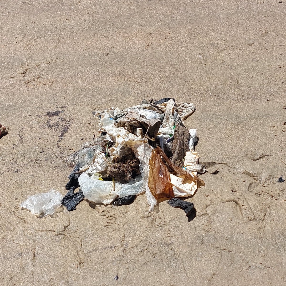 jpruffalini tweet media