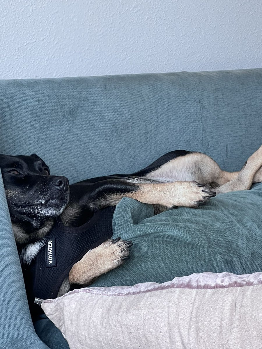 Hilliary Turnipseed (she/her) tweet media