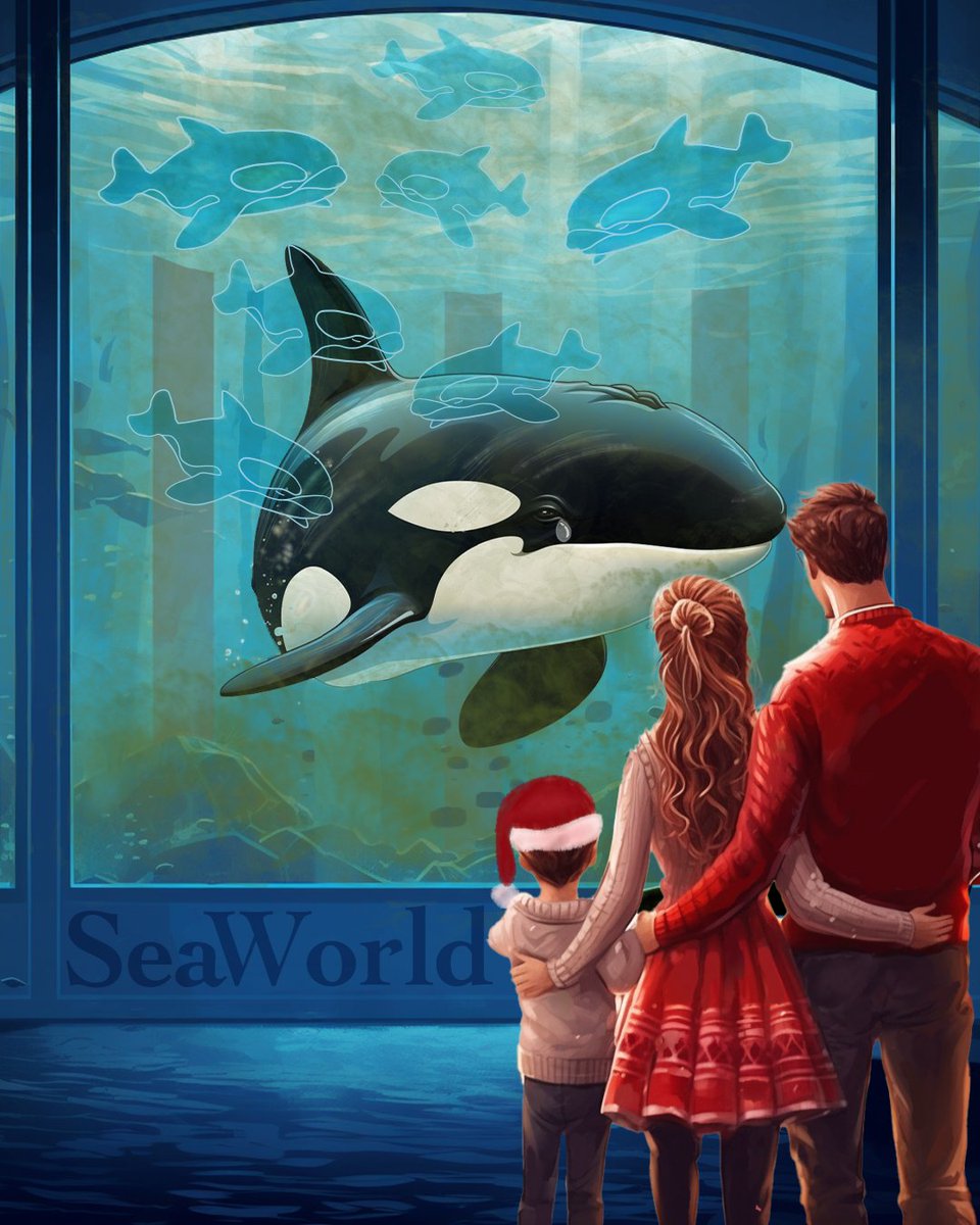 Joy to the SeaWorld captives in 2024 means they must be freed