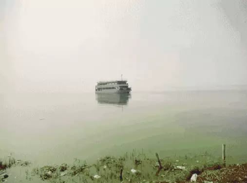 AnchalDwiv67475's tweet image. #GoodNews 15 दिसंबर को रामगढ़ ताल में क्रूज का लोकार्पण करेंगे सीएम योगी.।।
#waitover 
#YogiAdityanath 
#gorakhpur