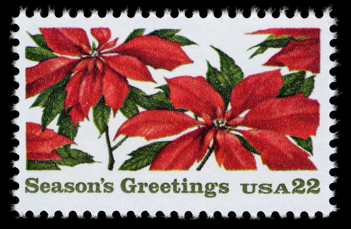 #DYK The poinsettia became popular in the U.S. when it was introduced from Mexico in 1828 by Joel Roberts Poinsett, the first U.S. Ambassador to Mexico? Explore our @SmithsonianLab collection to learn more interesting facts about the plant! s.si.edu/3No1zGA