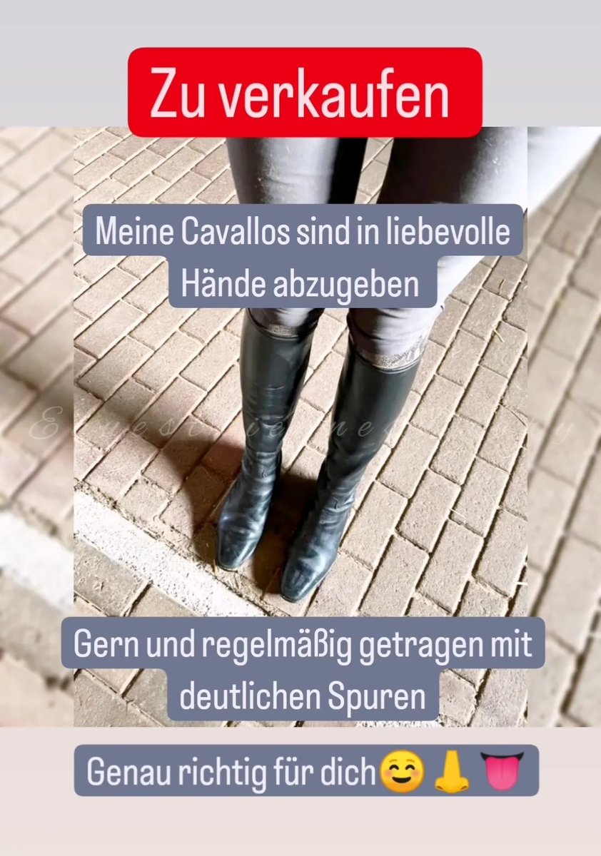 Richtig gelesen, ich verkaufe ein Paar meiner oft und intensiv getragenen Reitstiefel von Cavallo.
Gerne saue ich sie für dich auch nochmal schön ein! ☺️👃👅

Nach Reitsocken darfst du jederzeit fragen!

#equestriennesdiary #reitstiefel #lederstiefel #stiefelliebe #stiefel