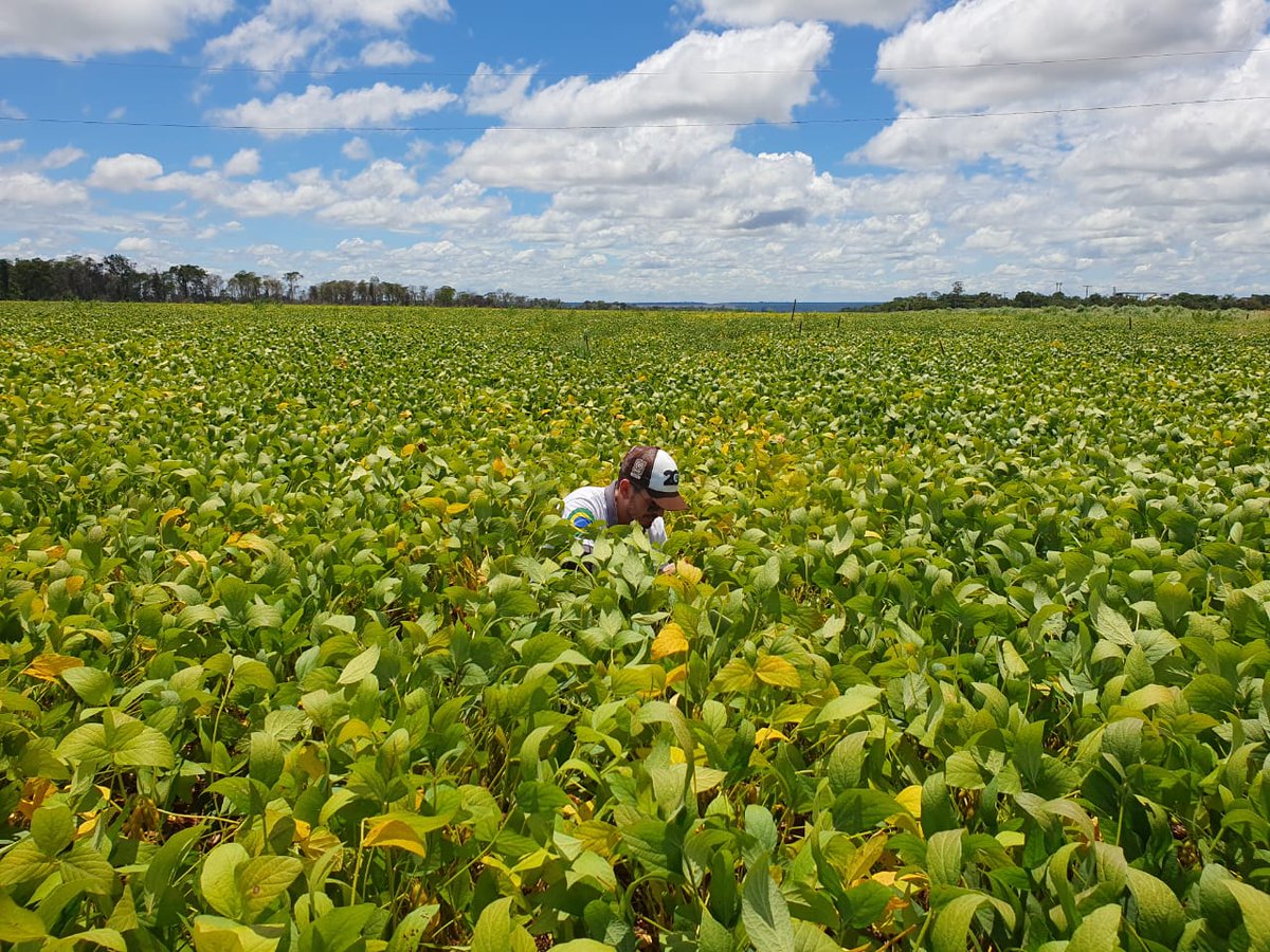 rallydasafra's tweet image. Preparados para mais um Rally da Safra com muita lavoura para avaliar 🌱
Muito contato com o produtor rural 👨‍🌾
Muitas feiras agrícolas e eventos regionais 🌽
Além de muiiito conteúdo diretamente do campo para vocês! 📲

#agro #agronegocio #produtorrural #lavoura #campo