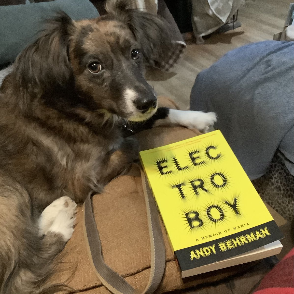 Smudge HIGHLY Recommends “ELECTROBOY” to everybody!! He can’t step away from it! @electroboyusa