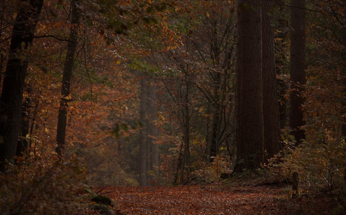 𝕵𝖆𝖓𝖊 tweet media