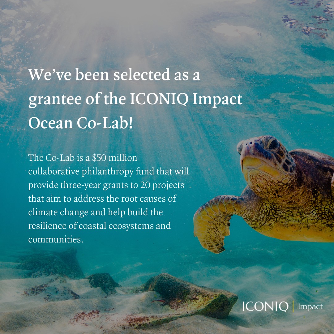 We’re thrilled to share Ocean Risk and Resilience Action Alliance has been selected as a grantee of the #ICONIQImpact Ocean Co-Lab for our project that is the Sea Change Impact Financing Facility (SCIFF)! #Ocean #CollaborativePhilanthropy #OceanCoLab