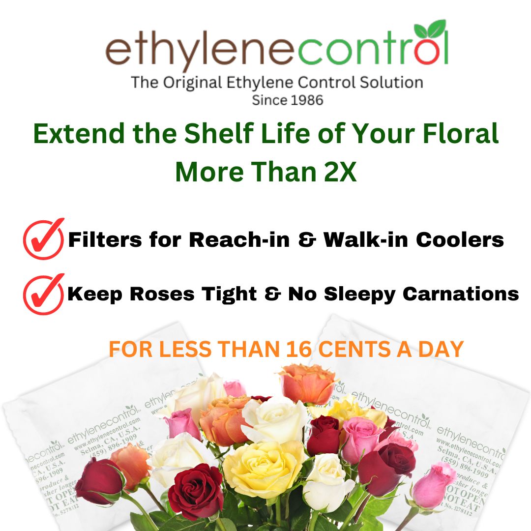 EthyleneControl's tweet image. We have the solution for your floral. Give us call #letstalkaboutit
559.896.1906.   info@ethylenecontrol.com
#floral #flowers #roses #irises #lilies #sunflowers #orchids #tulips #dasies #gardenias #lavenders #hydrangeas #carnations #florist