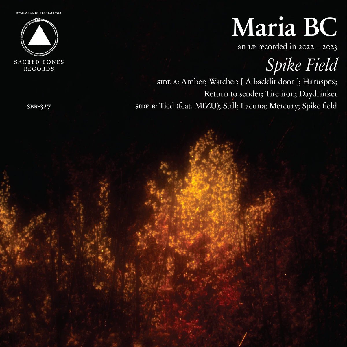 30. Maria BC, Spike Field Glitchy ambience becomes the new connective tissue for @mariab4christ's minimalist network of folk, post-rock, and drone; the fraying electronics serve to underscore the music’s aching gothic mood. Full list: thefader.com/2023/12/12/bes…