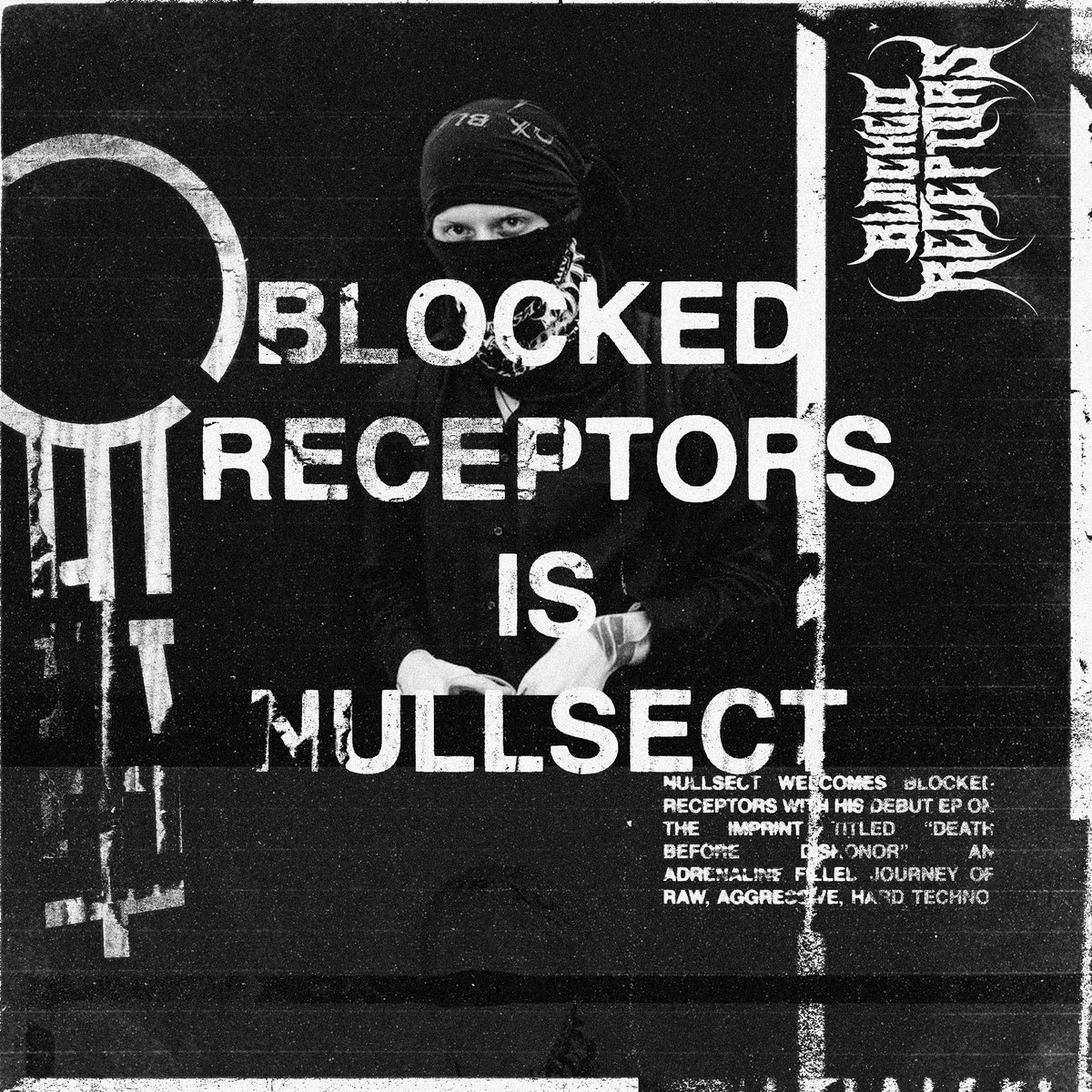 BLOCKED RECEPTORS IS NULLSECT ♾️